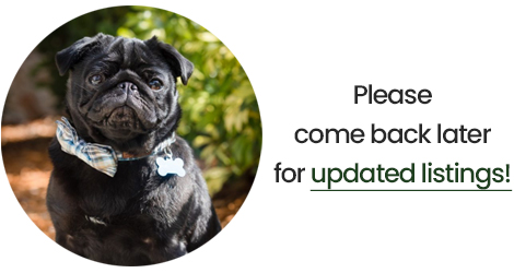 No Open Houses Available